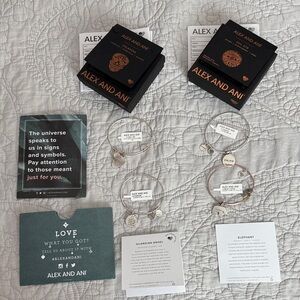 Alex and Ani Silver and Gold Charm Bracelet Bundle